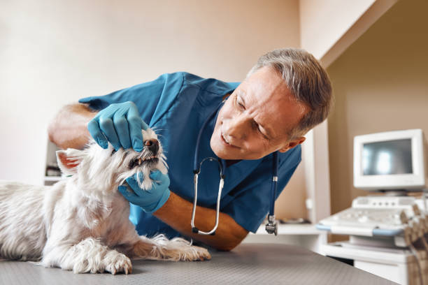 Best Broken Tooth Emergency  in Redstone Arsen, AL